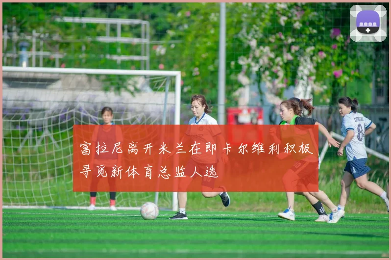 富拉尼离开米兰在即卡尔维利积极寻觅新体育总监人选