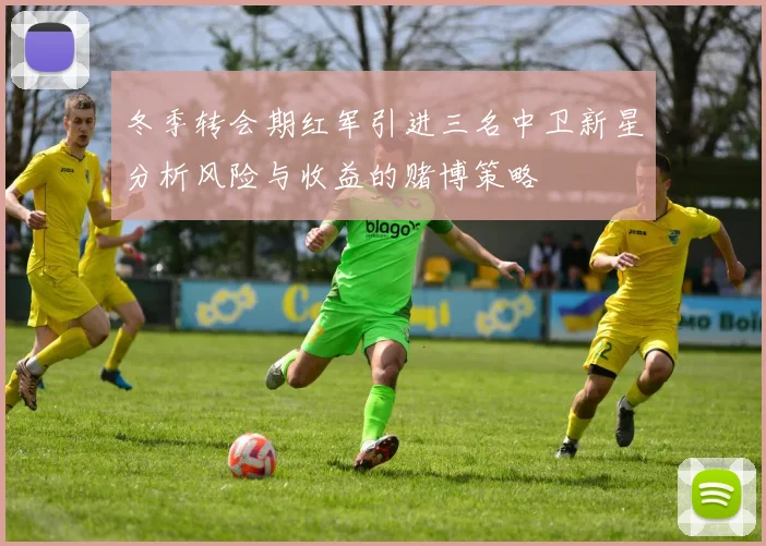冬季转会期红军引进三名中卫新星分析风险与收益的赌博策略