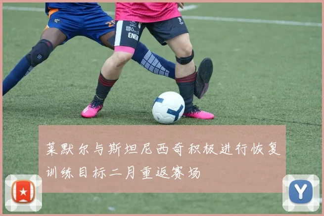 莱默尔与斯坦尼西奇积极进行恢复训练目标二月重返赛场
